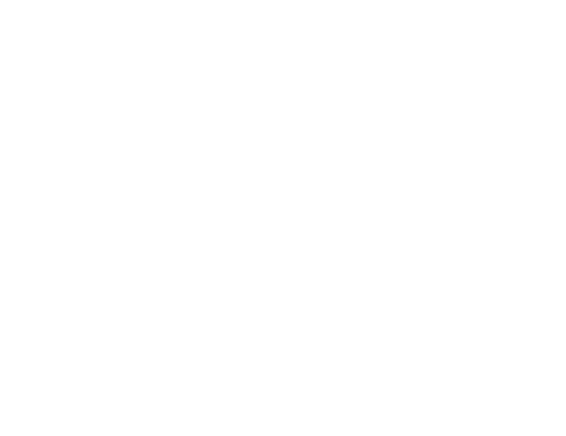 DUDE Wipes Logo in White